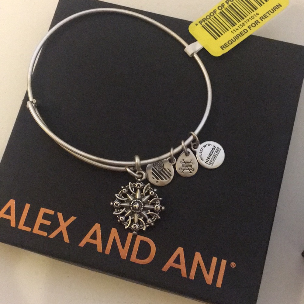 Compass Charm Alex and Ani Bangle